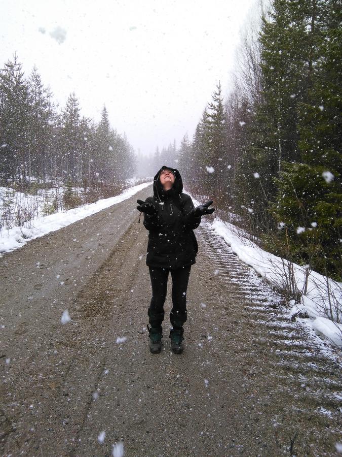 Gafsele Lappland Hostel Väster Gafsele Dış mekan fotoğraf