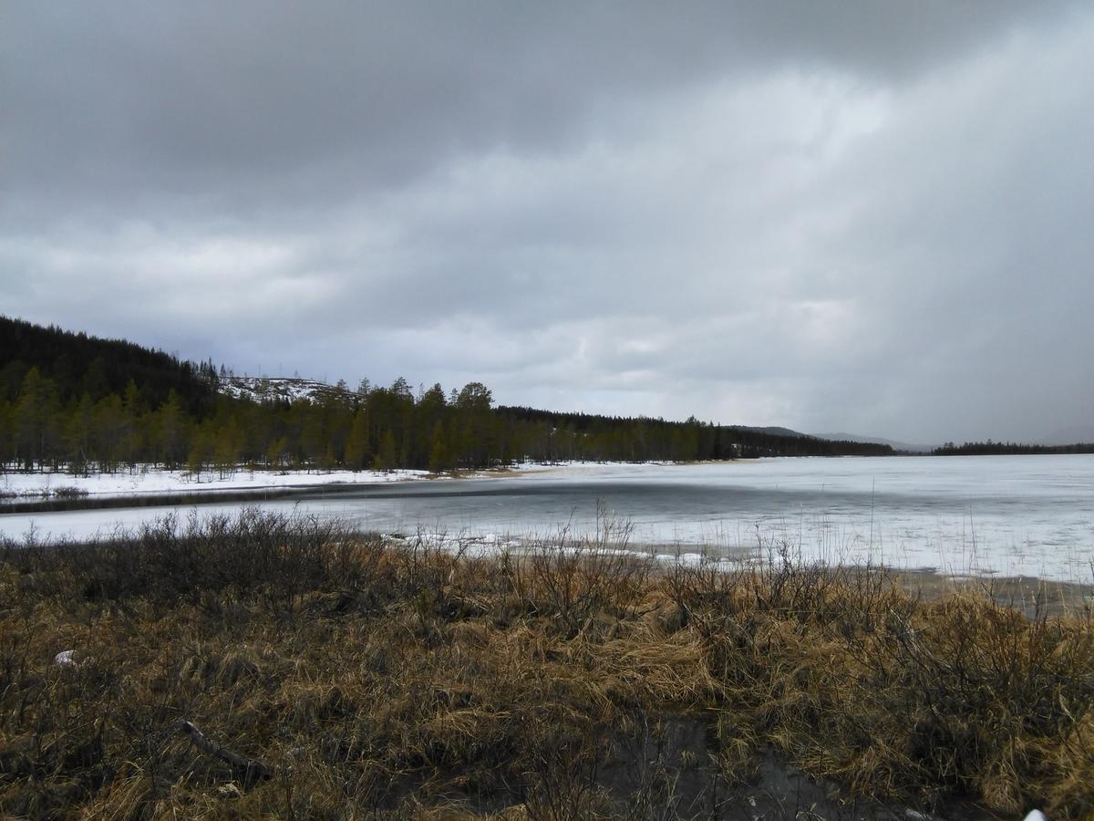 Gafsele Lappland Hostel Väster Gafsele Dış mekan fotoğraf