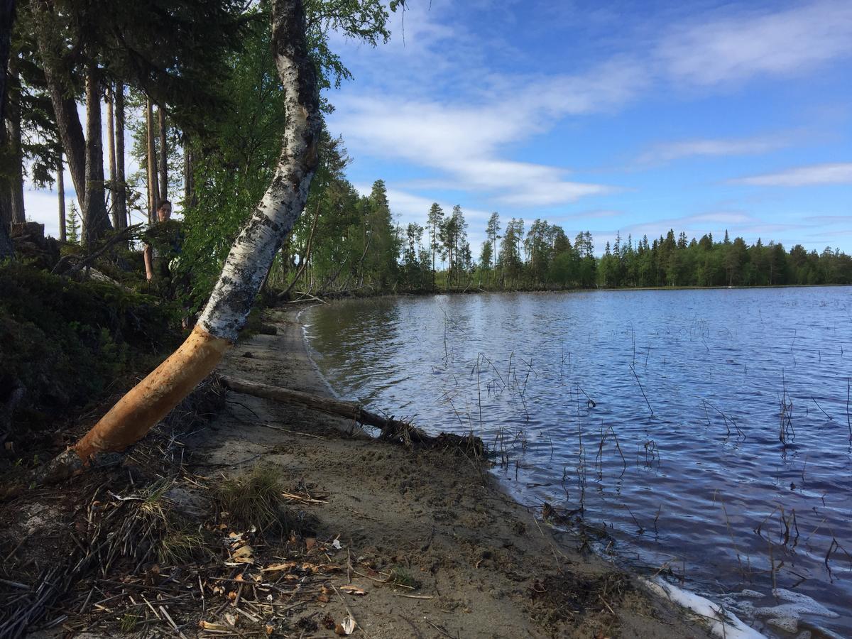 Gafsele Lappland Hostel Väster Gafsele Dış mekan fotoğraf