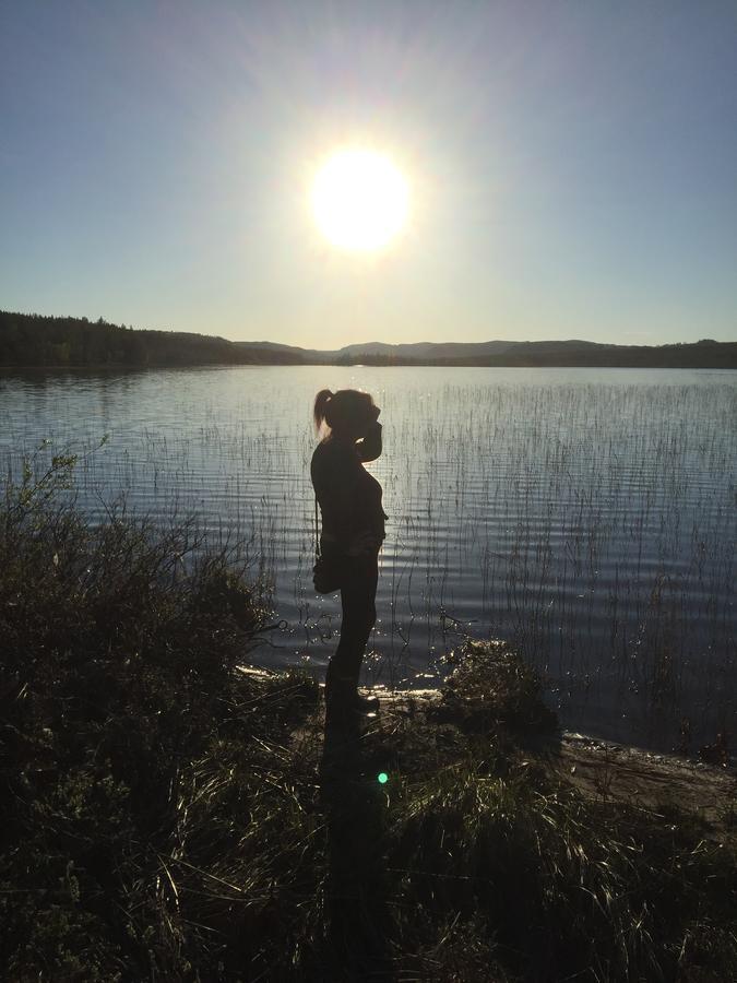 Gafsele Lappland Hostel Väster Gafsele Dış mekan fotoğraf